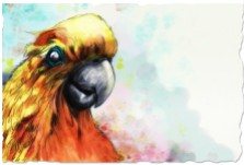 "A Digital Paint Cockatoo" Sketch, and Adobe Photoshop ©Alf Sukatmo. 2016